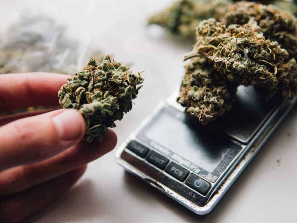 Cannabis Weights: How much is an eighth?
