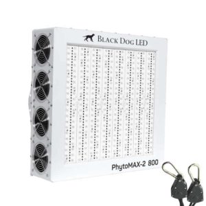 Black Dog LED Coupon Code