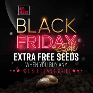 420 Seeds Free Seeds Black Friday 2020