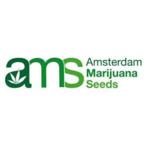 amsterdam-marijuana-seeds