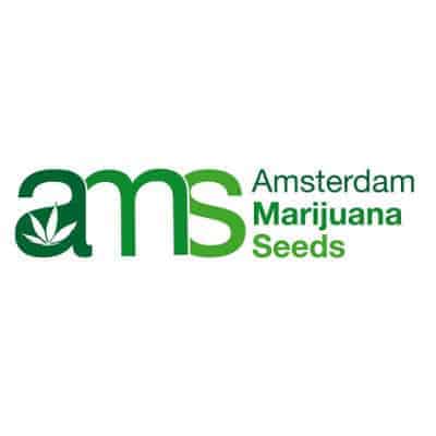 Amsterdam Marijuana Seeds Coupon Code