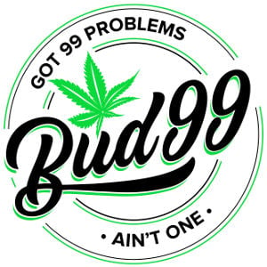 Bud99 Logo