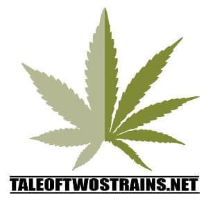 tale-of-two-strains