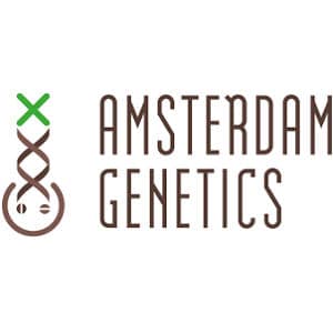 Amsterdam Genetics Logo